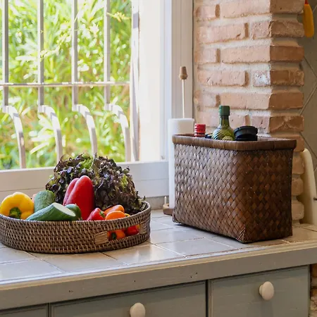 Charming Andalusian فيلة