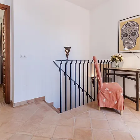 Charming Andalusian فيلة