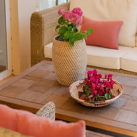فيلة Charming Andalusian